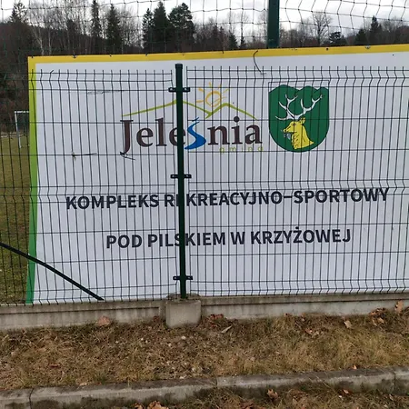 Salina Daire Krzyżowa